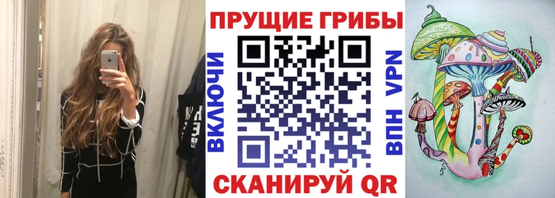Галлюциногенные грибы Psilocybe  мега   Славгород  купить  цена 